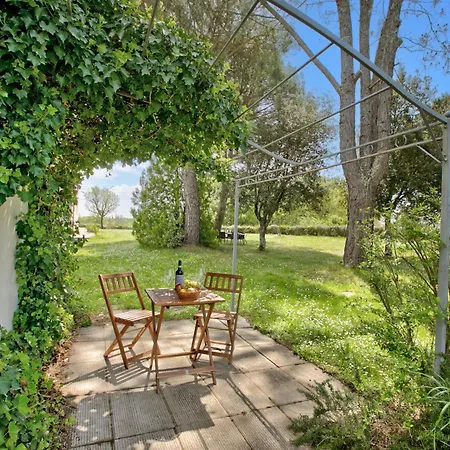 Family Tuscan Among The Vineyard - Happy Apartment Terranuova Bracciolini